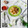 Cooksnap dari Veni KM untuk resep *Cilok Sayur*