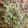 anndria.disalvo's cooksnap of when they made baked spinach macaroni.