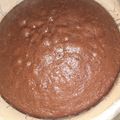 El cooksnap de camila cuando hizo Bizcochuelo Nesquik🍫🍫.