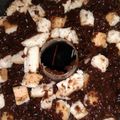 Cooksnap dari Nabila _suga untuk resep Puding coklat roti tawar