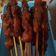 Cooksnap dari Suryani'S Cooking Diary untuk resep Sate ayam manis