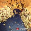 Cooksnap από katerina78 στη συνταγή Αφράτο γιαουρτοκέικ