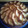 El cooksnap de Vanesa Fernandez Valero cuando hizo Tarta de manzana con bizcocho 🍏🍰.