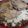 Afrah's cooksnap of when they made ريش خروف.. مع فريكة و رز بنكهة المستكة.