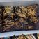 Cooksnap dari Mamanya ArziAbi untuk resep Brownies panggang in cup