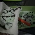 Cooksnap dari Dian Dwi Ariestanti untuk resep Ice Cream Homemade