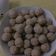 Cooksnap dari Teringani Sembiring untuk resep Bakso ayam simpel