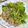 Hsu Chiawen 的 青椒炒肉絲 cooksnap