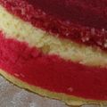 Cooksnap dari Jeda By ami untuk resep Bolu Kukus Rainbow Empuk Lembut Mudah