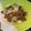 Cooksnap dari C O B A R I untuk resep Sate Domba Afrika