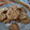 El cooksnap de patricia gomez martin cuando hizo Galletas de avena y almendras.