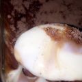 صورة من بيبو، شاركها بعد تجربة وصفة حلى سريع ولذيذ
