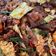 Cooksnap Cempaka Putih semasa beliau membuat KueTiaw Goreng.
