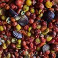 Gábor Zilai Cooksnap-ja, amikor elkészítette a(z) Sült paradicsomszósz 🍅- télire🥫🍝🍕 receptet.