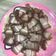Cooksnap dari Yemima ellina untuk resep Samcan goreng crispy