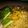 Cooksnap dari Lee's Kitchen untuk resep Mie Ayam homemade NO MSG