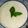 El cooksnap de Iluminada Rodríguez cuando hizo Salsa de queso a la pimienta verde.