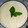 El cooksnap de Iluminada Rodríguez cuando hizo Salsa de queso a la pimienta verde.