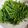 蝦米 的 蒜炒空心菜 cooksnap