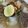 Cooksnap dari JinJin Gina Tendean untuk resep Soto Lobak Bandung Bumbu Simple
