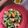El cooksnap de maria cuando hizo Ensalada de pollo y aguacate.