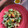 El cooksnap de maria cuando hizo Ensalada de pollo y aguacate.