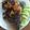 Cooksnap dari Siva untuk resep Gurame Bakar Madu #SiapRamadan