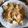 Cooksnap dari Khansa untuk resep Lontong mie Suroboyo