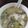 傅子慈 的 香根滑蛋牛肉粥 cooksnap
