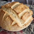 El cooksnap de Paloma Camacho cuando hizo Pan milagro 🥖 Panificadora LIDL - MUY FÁCIL.