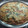 El cooksnap de CONCHA LOPEZ CASANOVA cuando hizo Quiche de espinacas, ciruelas, piña.