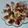 Cooksnap de Un amour de cuisine sur la recette Salade de fruits