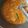 Tuhina Das's cooksnap of when they made শাহী পনির (Shahi paneer recipe in Bengali).