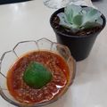 Cooksnap dari nita rofita priyanti untuk resep Sambal Ayam Bakar