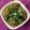 Shweta Shah's cooksnap of when they made સુરતી ઊંધીયું (Surti Undhiyu recipe in Gujarati).