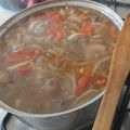 El cooksnap de Daniel Bravo Torres cuando hizo Ajiaco.