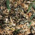 Cooksnap dari rizqi dhita wardhanik untuk resep Bumbu Urap Tahan Lama