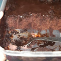 Cooksnap dari Arina untuk resep Super Moist Steamed Chocolate Cake Juara NO mixer NO oven