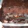 Cooksnap dari Arina untuk resep Super Moist Steamed Chocolate Cake Juara NO mixer NO oven