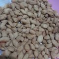 Cooksnap dari mariatul qibtiyah untuk resep Biji ketapang (resep 1 kg tepung terigu)