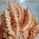Cooksnap dari Srikandi sumawe untuk resep Kue Kering "KECIPIR" (Gurih dan Renyah)
