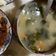 April Hsiao 的 家常蔬菜味噌湯 cooksnap