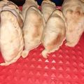 El cooksnap de Solange Gutierrez cuando hizo Masa de empanadas.