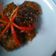 Cooksnap dari Inna. AR untuk resep Bistik Tempe