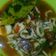 Cooksnap dari Evi Niswah untuk resep Cumi basah saos tiram