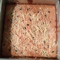 Cooksnap dari Ci'guRennie MoenyOex Lebbay untuk resep Bolu Pisang Takaran Sendok