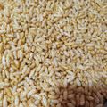 mitu madlani's cooksnap of when they made વઘારેલા મમરા (Vagharela Mamra Recipe In Gujarati).