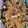 Khady Dharuna's cooksnap of when they made Chicken Salad.