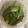 しゅうう's cooksnap of when they made おくらの胡麻和え.