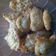 Cooksnap dari Netty untuk resep Cireng nasi